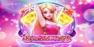 Bongvip - Thiên đường trải nghiệm nổ hũ Wild Disco Night