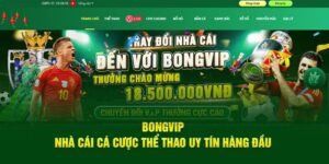 Khám phá Bongvip- điểm đến cá cược thu hút hàng loạt game thủ