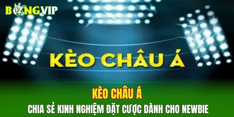 Bongvip Cá Cược Thể Thao Khi Kèo Châu Á Thay Đổi Liên Tục